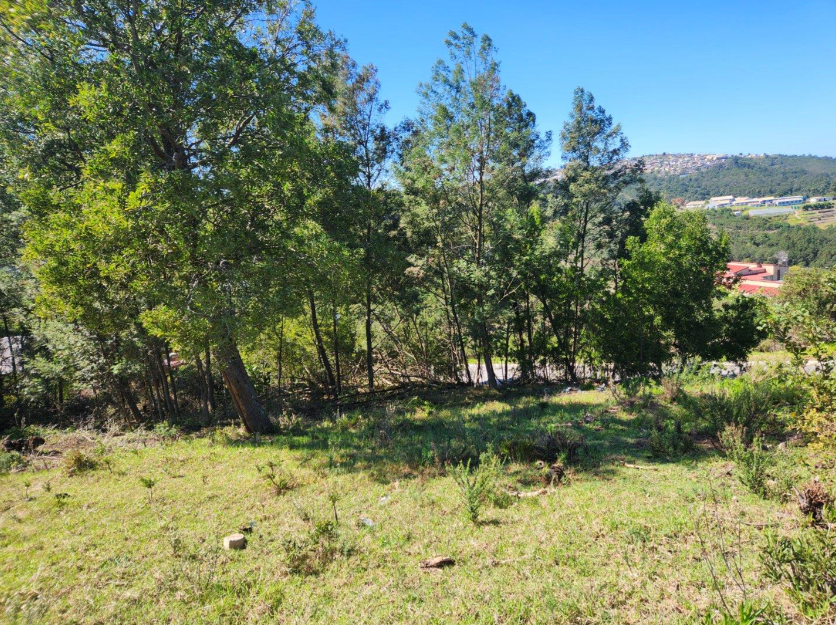 0 Bedroom Property for Sale in Knysna Heights Western Cape